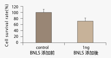 BNLS添加による脂肪細胞の割合減少