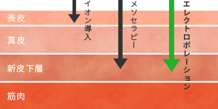 エレクトロポレーションとイオン導入の比較