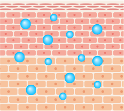 一般的な美容成分浸透イメージ